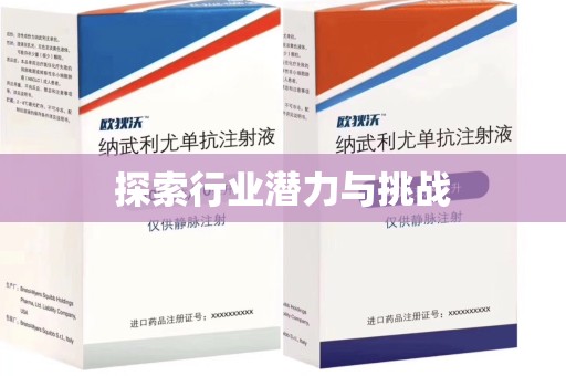 安庆探索行业潜力与挑战