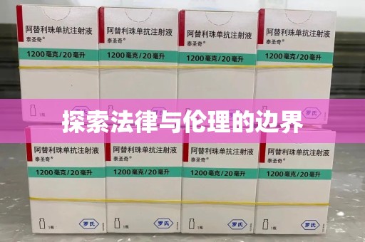 安庆探索法律与伦理的边界
