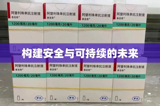 安庆构建安全与可持续的未来