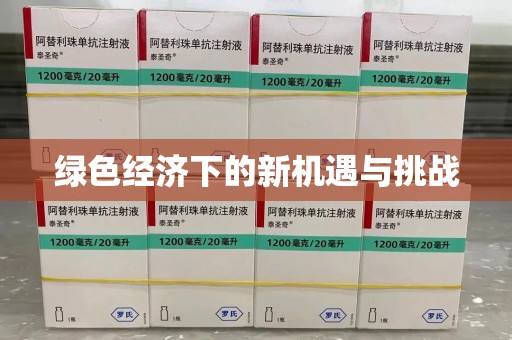 安庆绿色经济下的新机遇与挑战