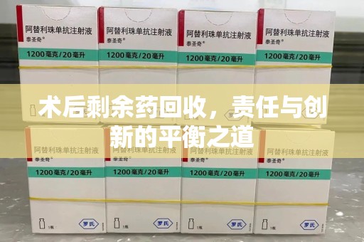 安庆术后剩余药回收，责任与创新的平衡之道