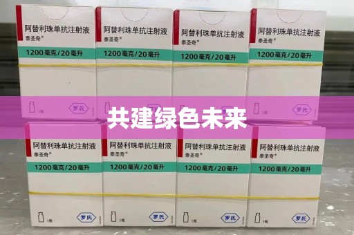 安庆共建绿色未来