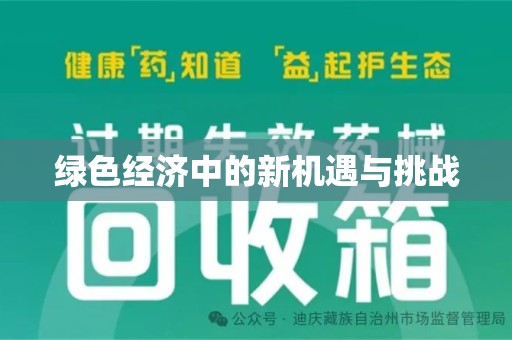 安庆绿色经济中的新机遇与挑战