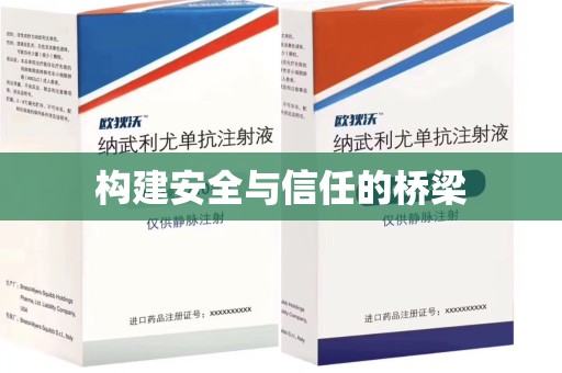 安庆构建安全与信任的桥梁