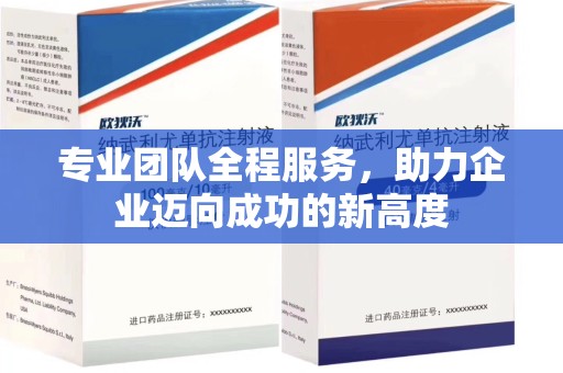 安庆专业团队全程服务，助力企业迈向成功的新高度